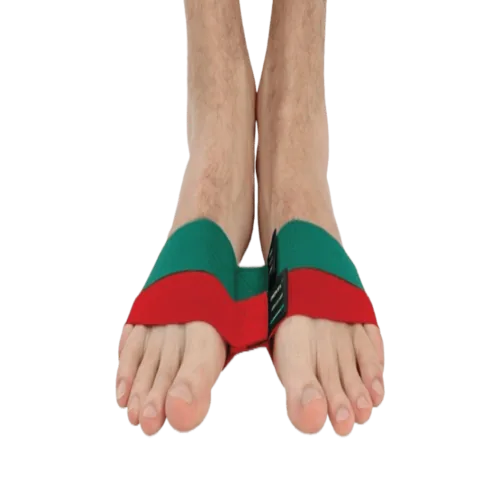 MoVeS Ankleciser